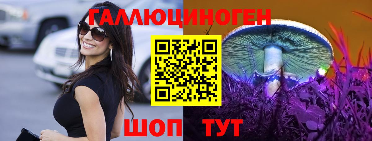 Гусиноозёрск  Галлюциногенные грибы мицелий  купить  сайты  Вход с VPN 